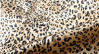 Mid-length Leopard Print  Raccoon Fur Collar Coat