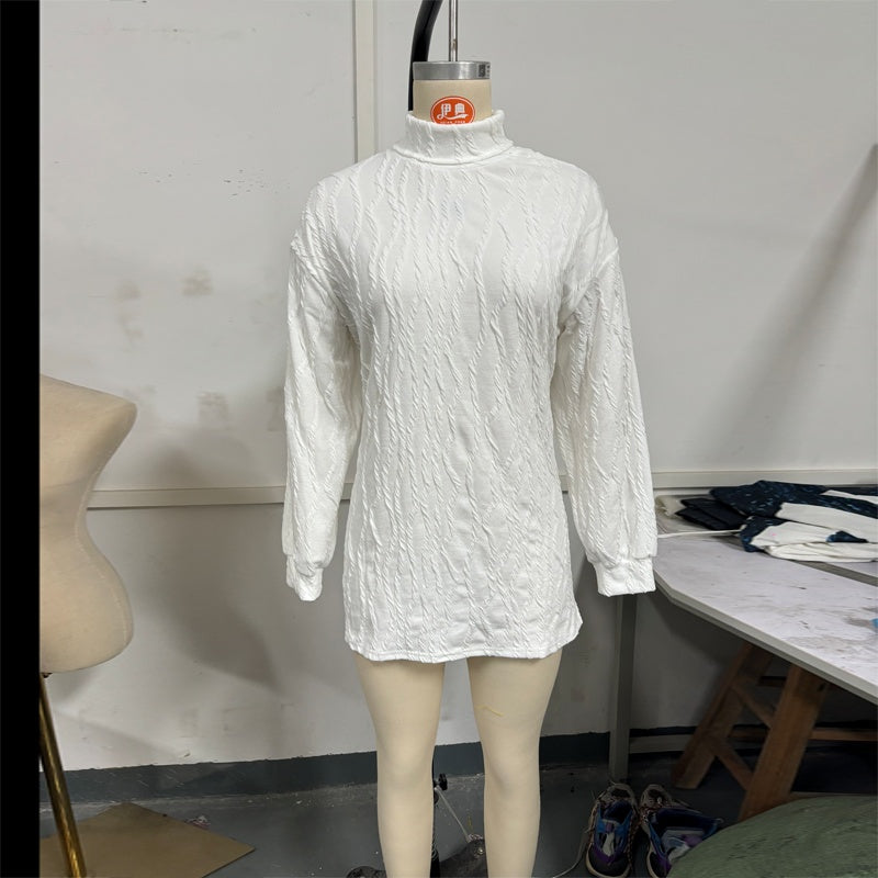 Women's Elegant Turtleneck Sweater, Solid Color Long Sleeve Knit Top With Slit Hem For Spring Fall Wear