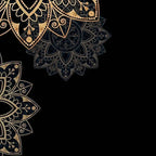 Women's Elegant Floral Print V-Neck Long Sleeve T-Shirt With Zip Detail - Slim Fit Casual Top For Spring&Fall