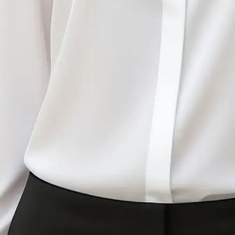 Women's Long Sleeve Satin Blouse, V Neck Loose Fit Tunic Top For Business Casual Office Fall